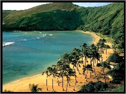 Plaża, Oahu, Hawaje, Palmy, Morze, Góry